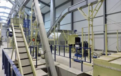 How to Choose the Right Conveyor for Your Needs?