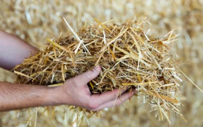 How to obtain straw briquette?